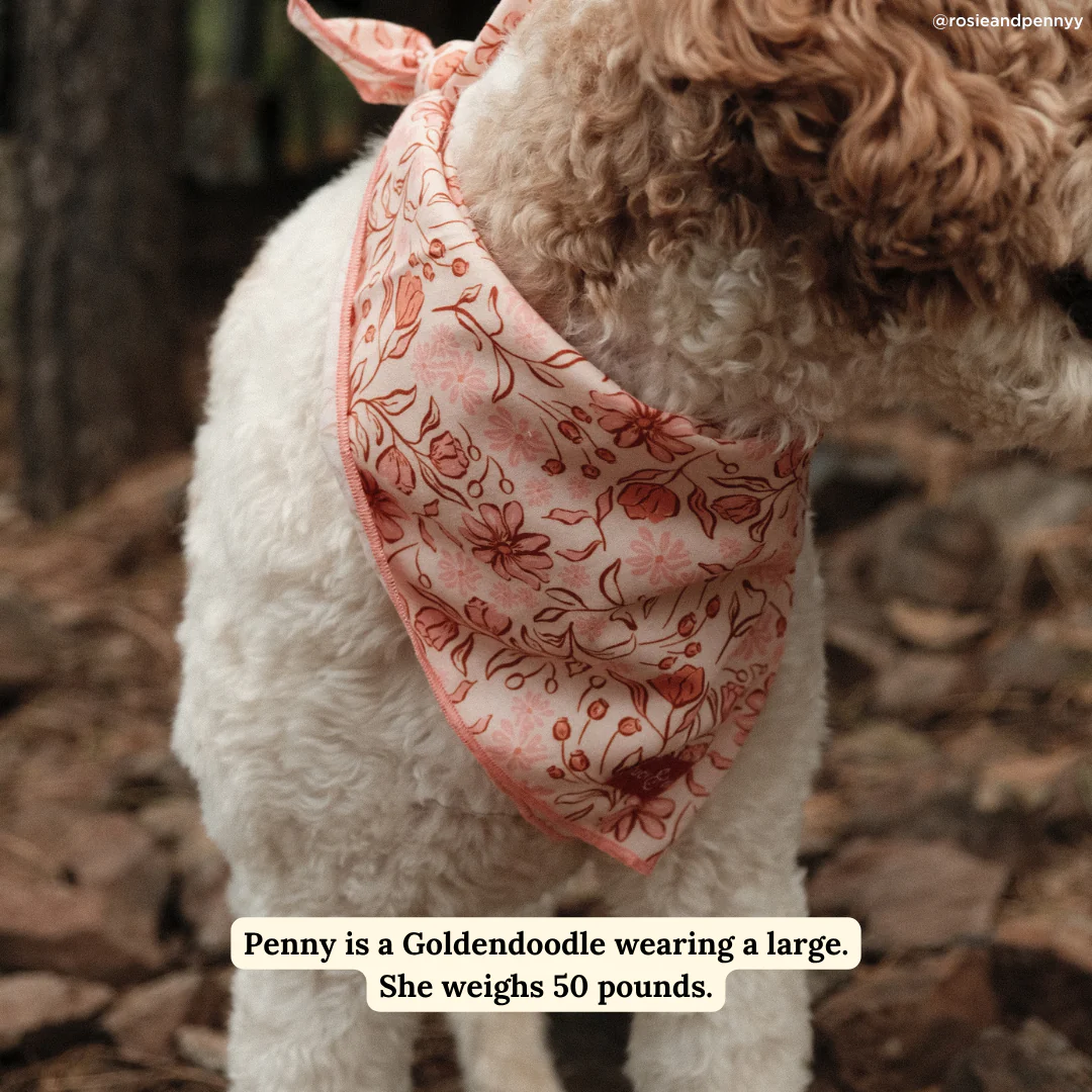 Woodland Wildflowers Bandana - Image 3