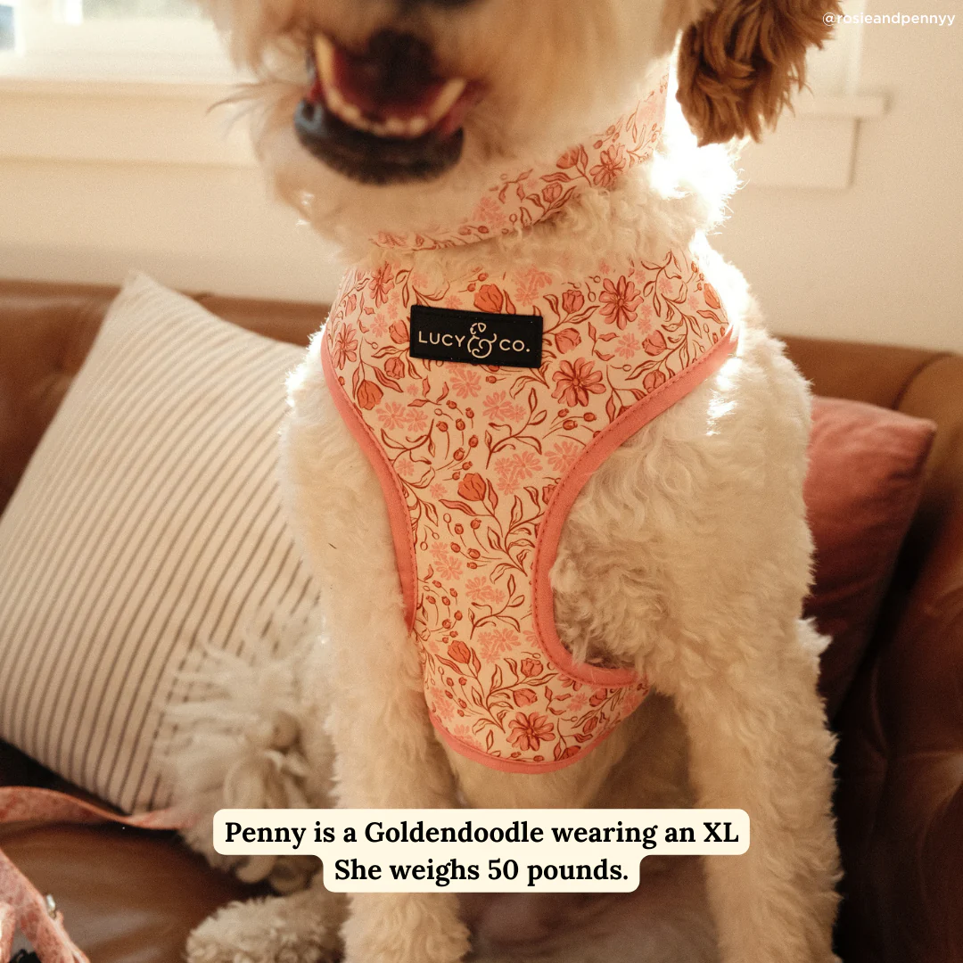 Woodland Wildflowers Reversible Harness - Image 3