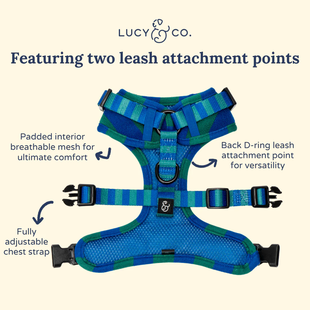 Beach Club No-Pull Harness - Image 5