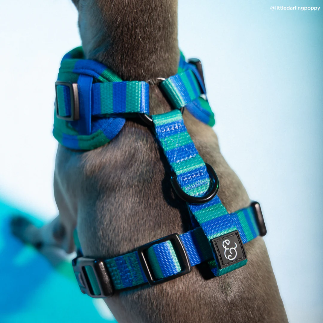 Beach Club No-Pull Harness - Image 7