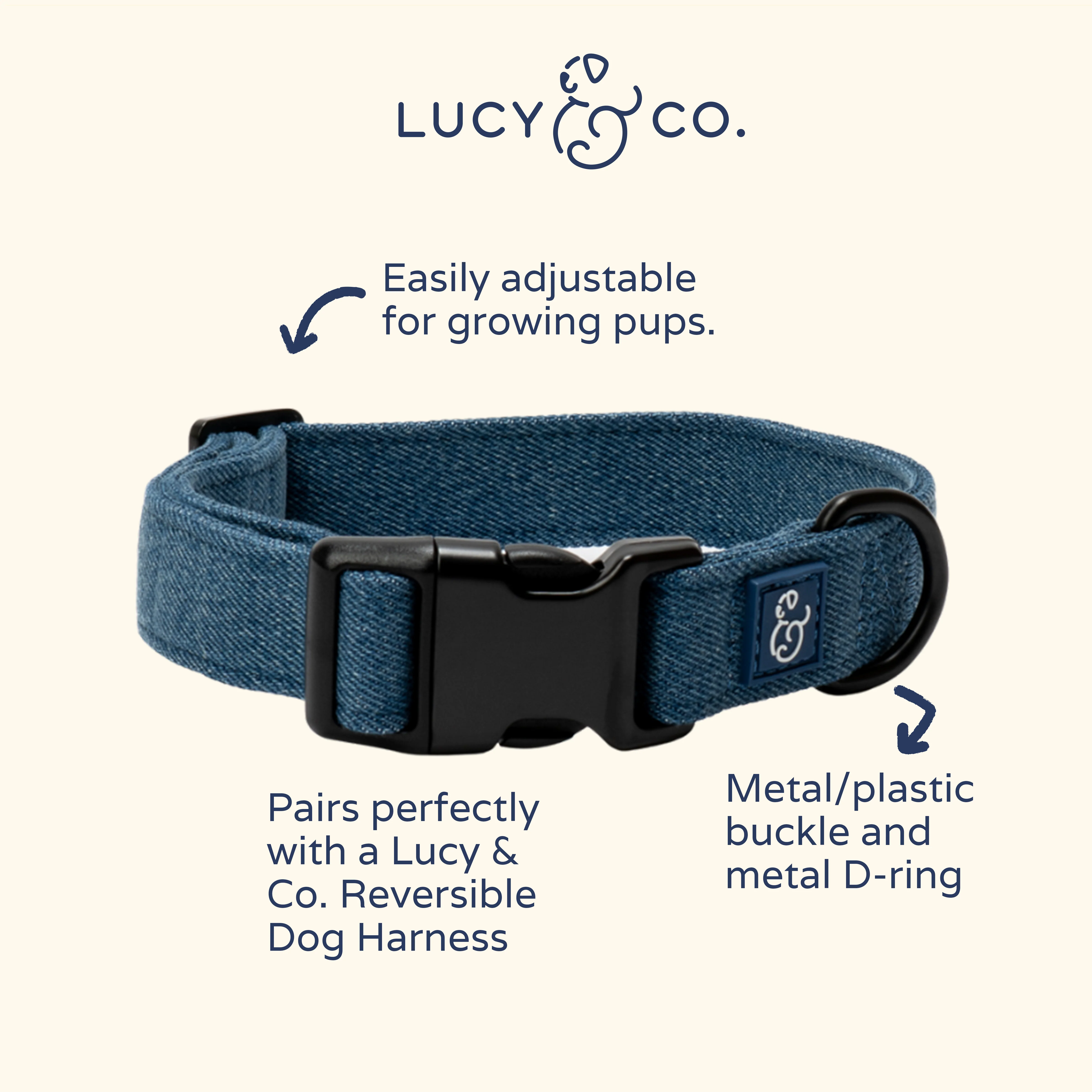 Blue Jeans Collar - Image 4