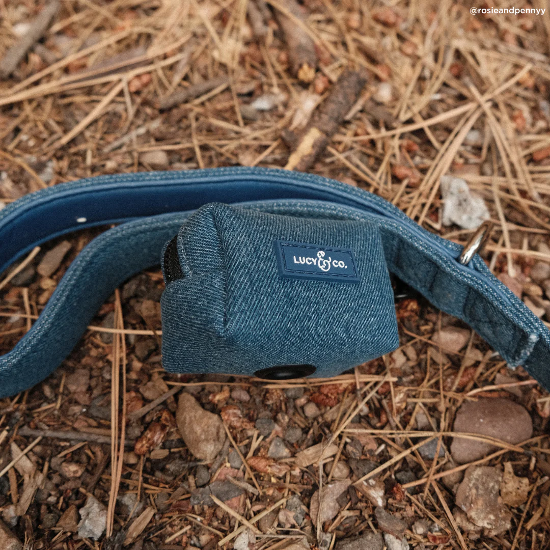 Blue Jeans Leash - Image 3