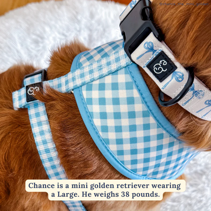 Bowwow Wow! Collar - Image 4