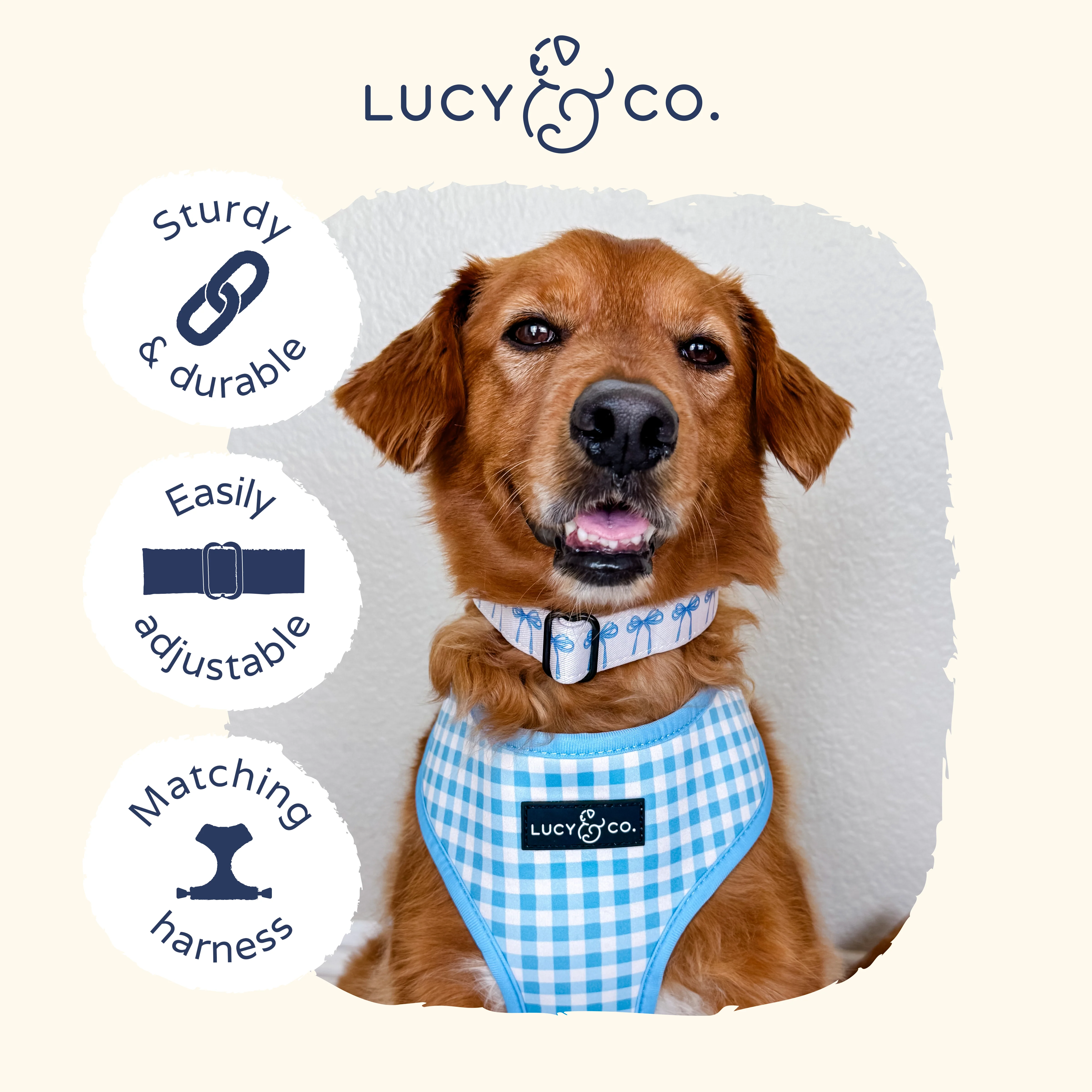 Bowwow Wow! Collar - Image 8