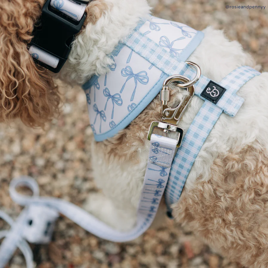 Bowwow Wow! Leash - Image 4