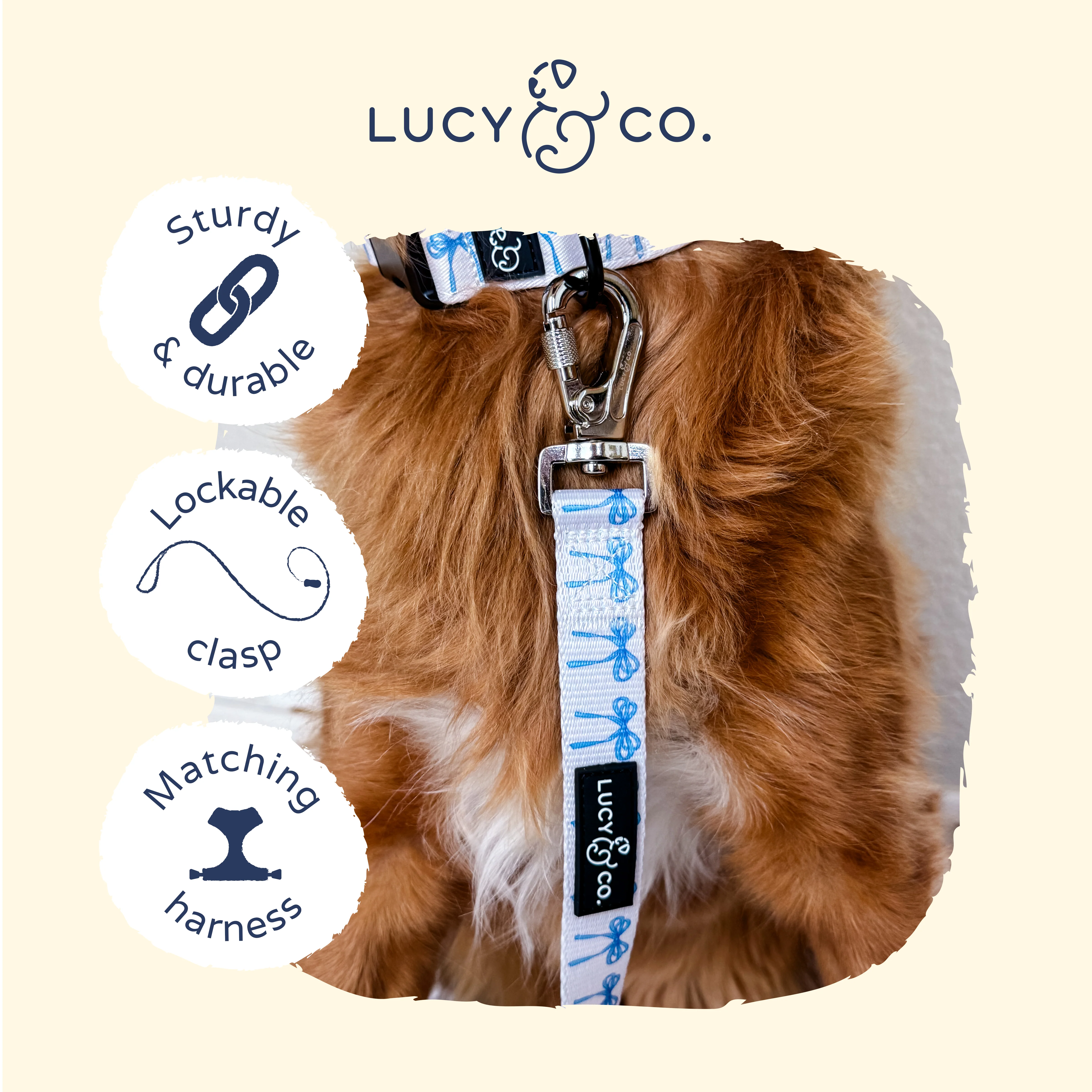Bowwow Wow! Leash - Image 7