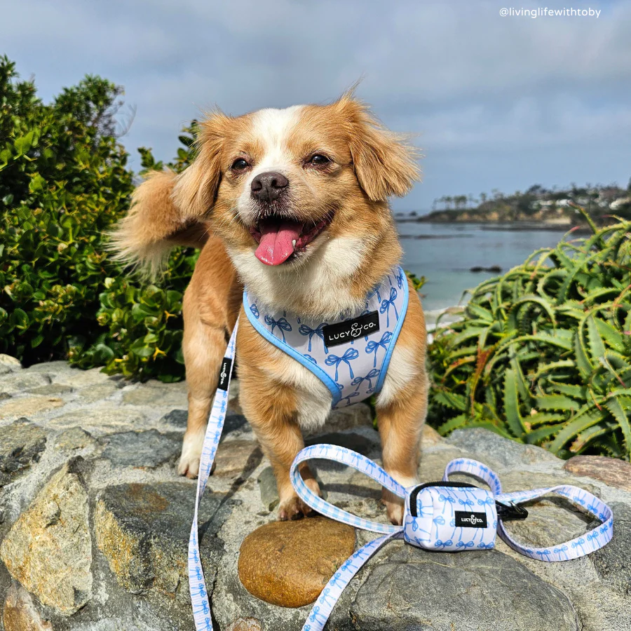 Bowwow Wow! Poop Bag Holder - Image 3