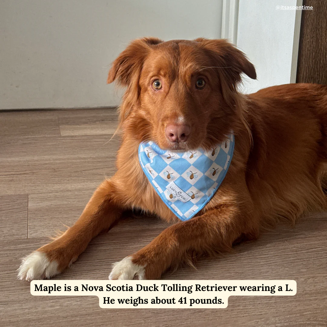 Bumbling Around Bandana - Image 3