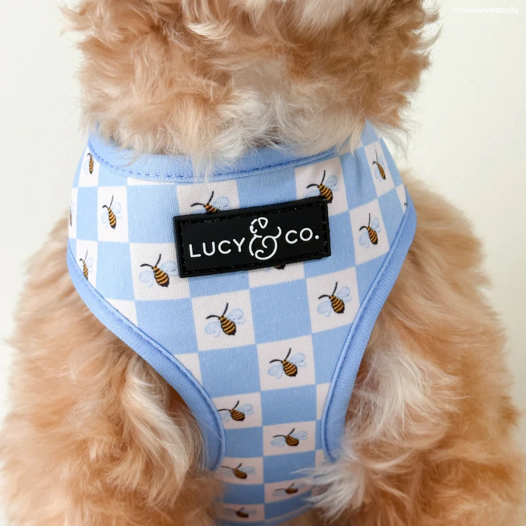 Bumbling Around Reversible Harness - Image 3