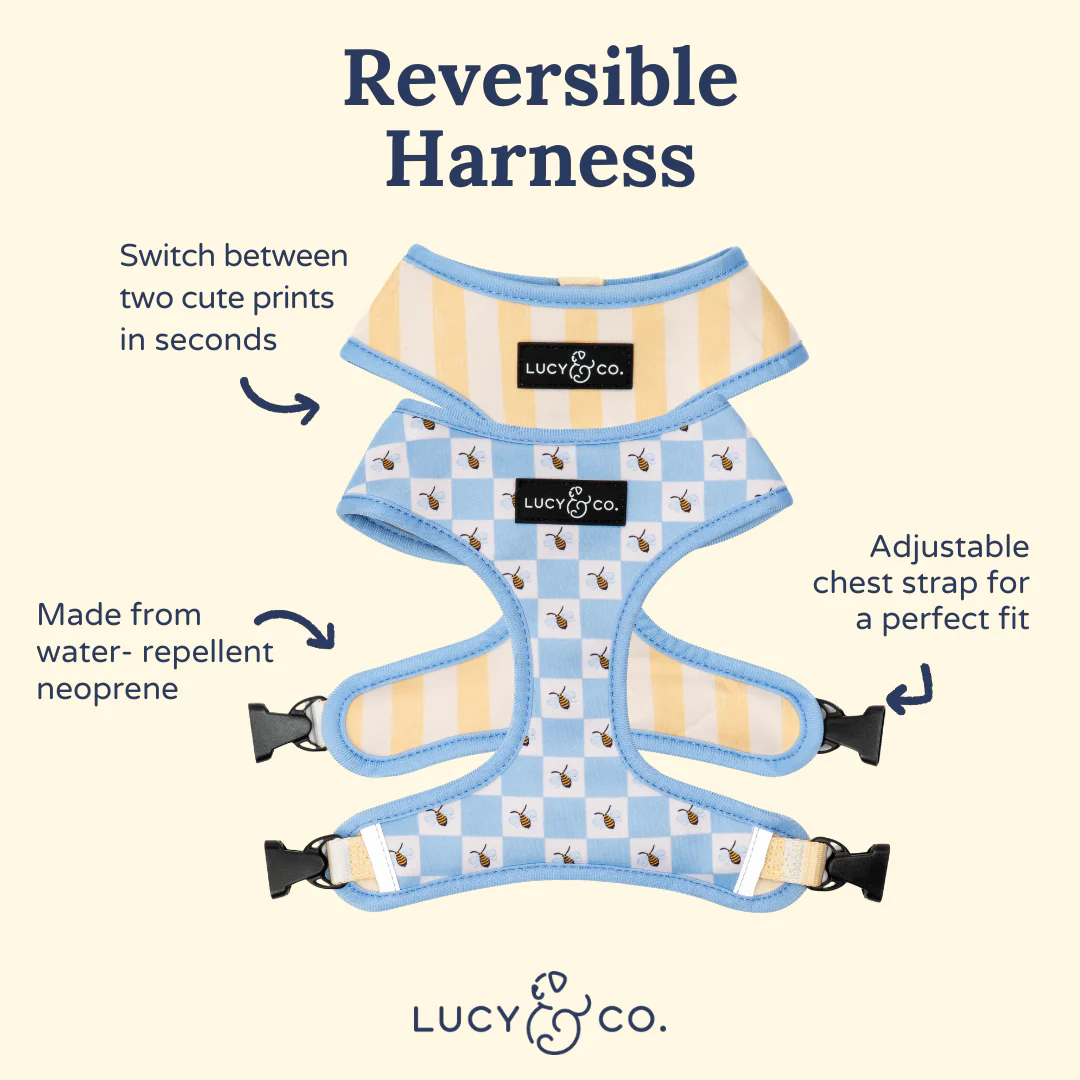 Bumbling Around Reversible Harness - Image 4