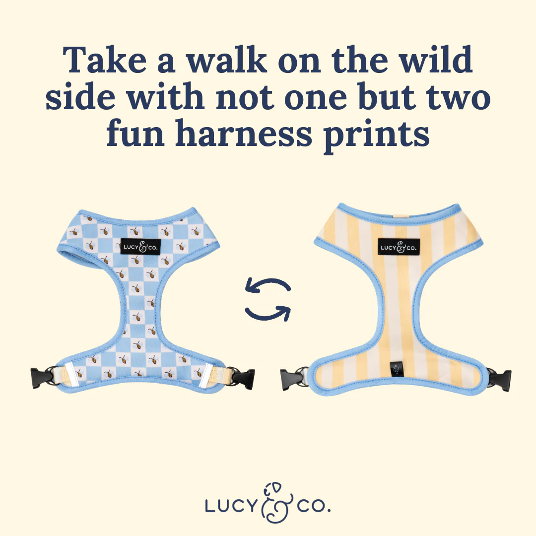 Bumbling Around Reversible Harness - Image 5