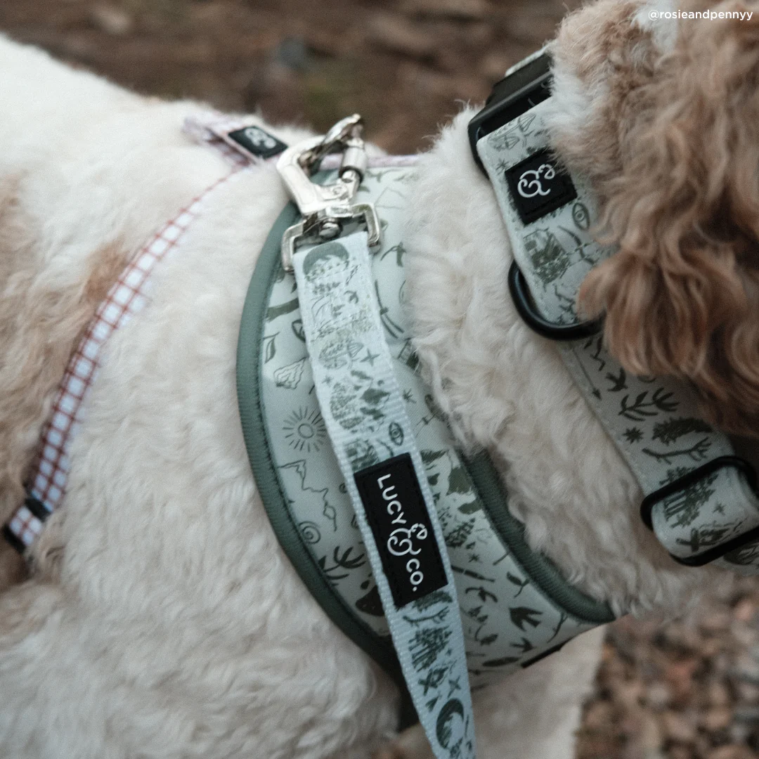 Camp Out Leash - Image 7