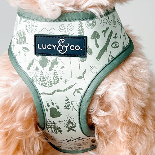 Camp Out Reversible Harness - Image 4