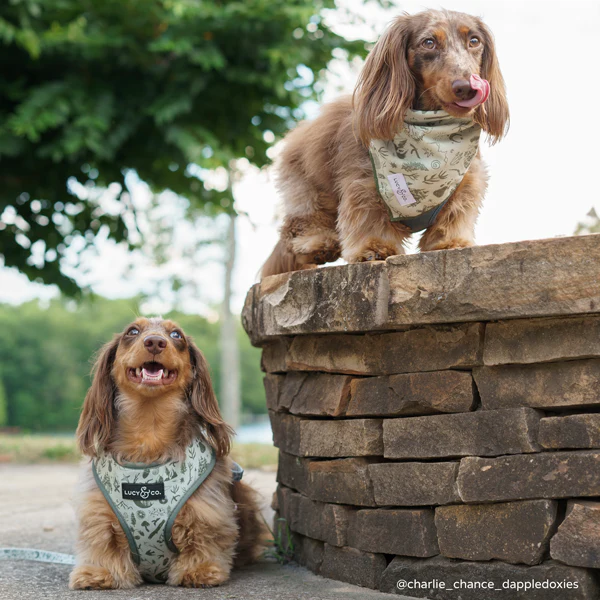 Camp Out Reversible Harness - Image 7