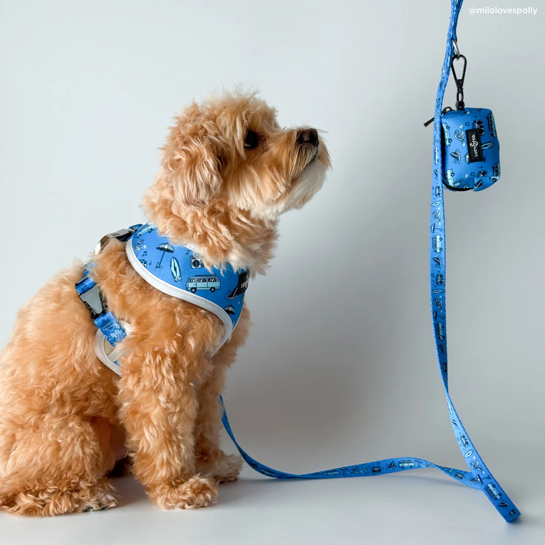 Catch a Wave Leash - Image 3
