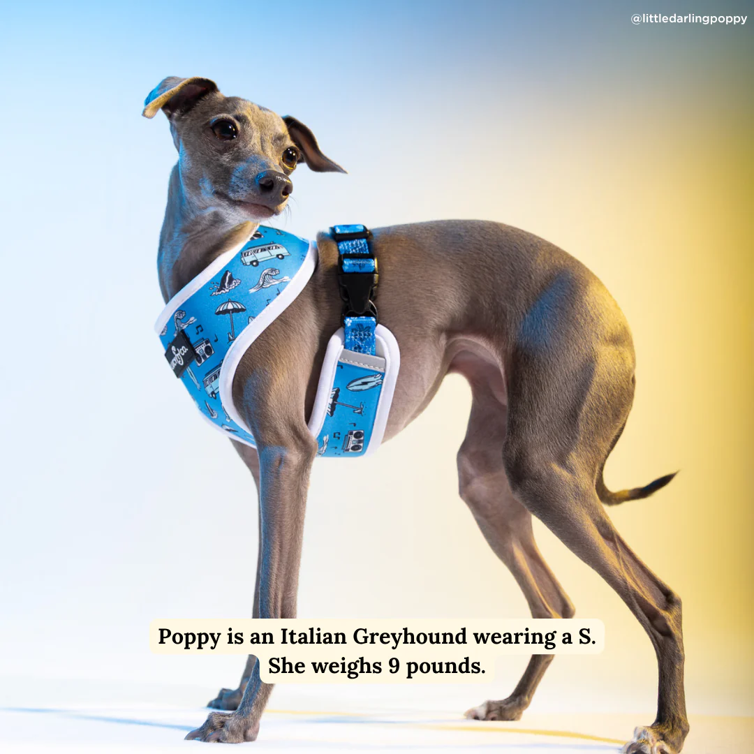 Catch a Wave Reversible Harness - Image 3