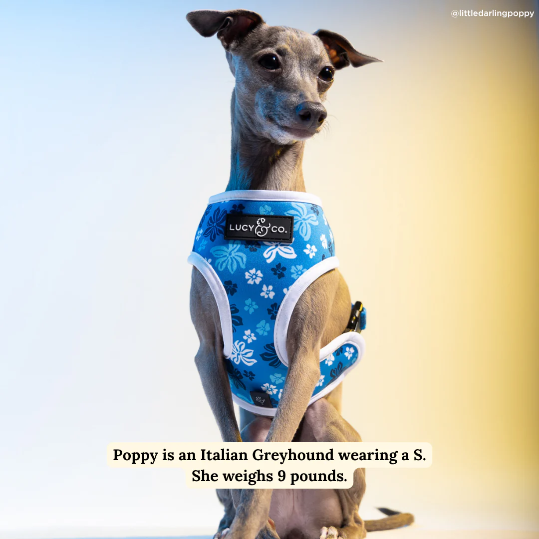 Catch a Wave Reversible Harness - Image 6