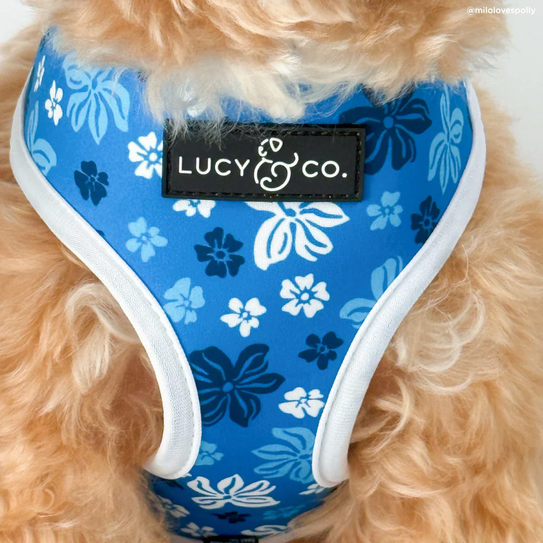 Catch a Wave Reversible Harness - Image 8