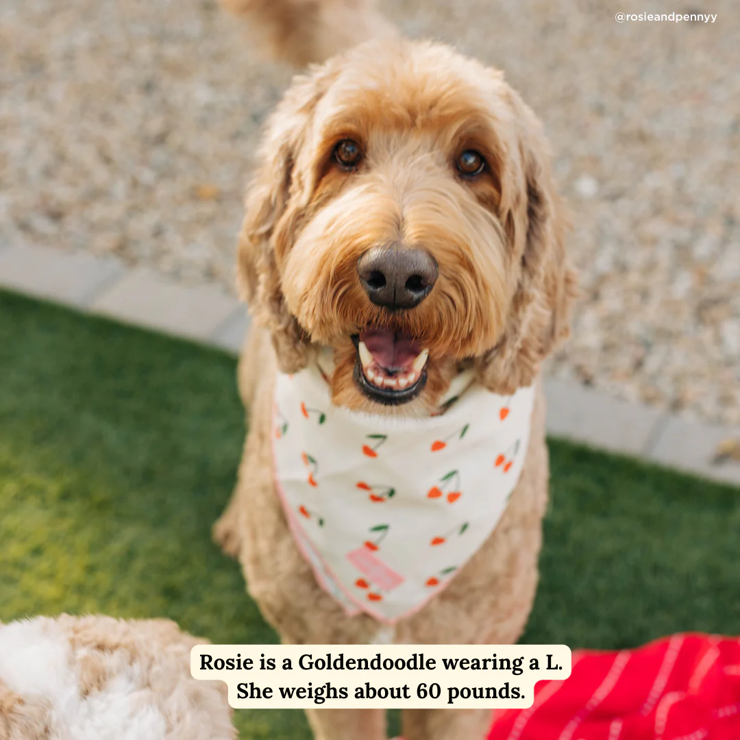 Cherry Cute Bandana - Image 2