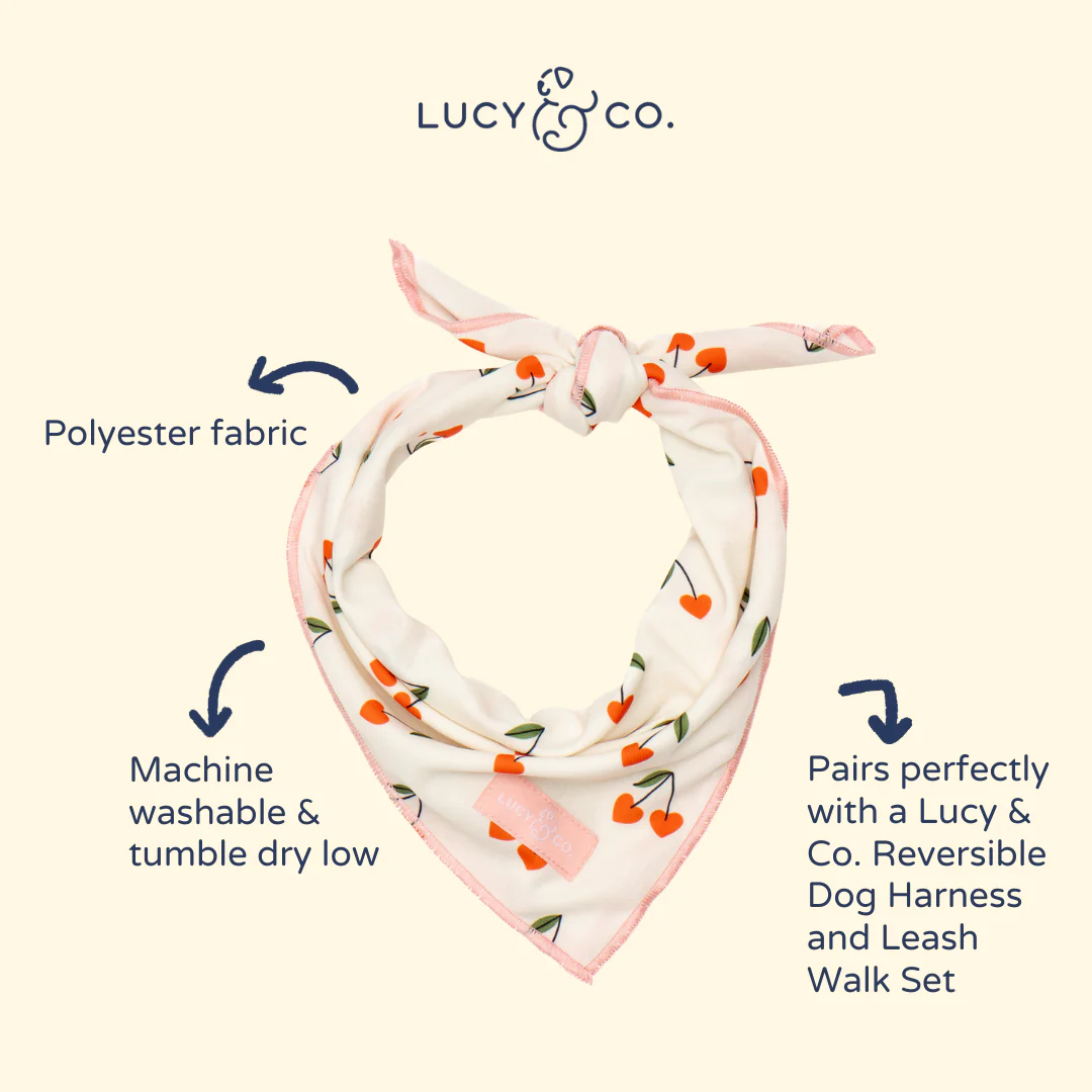 Cherry Cute Bandana - Image 4