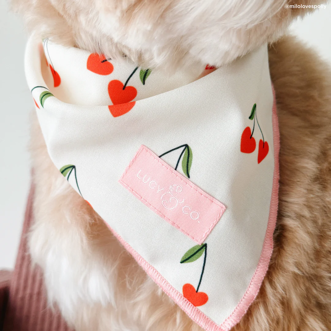 Cherry Cute Bandana - Image 6