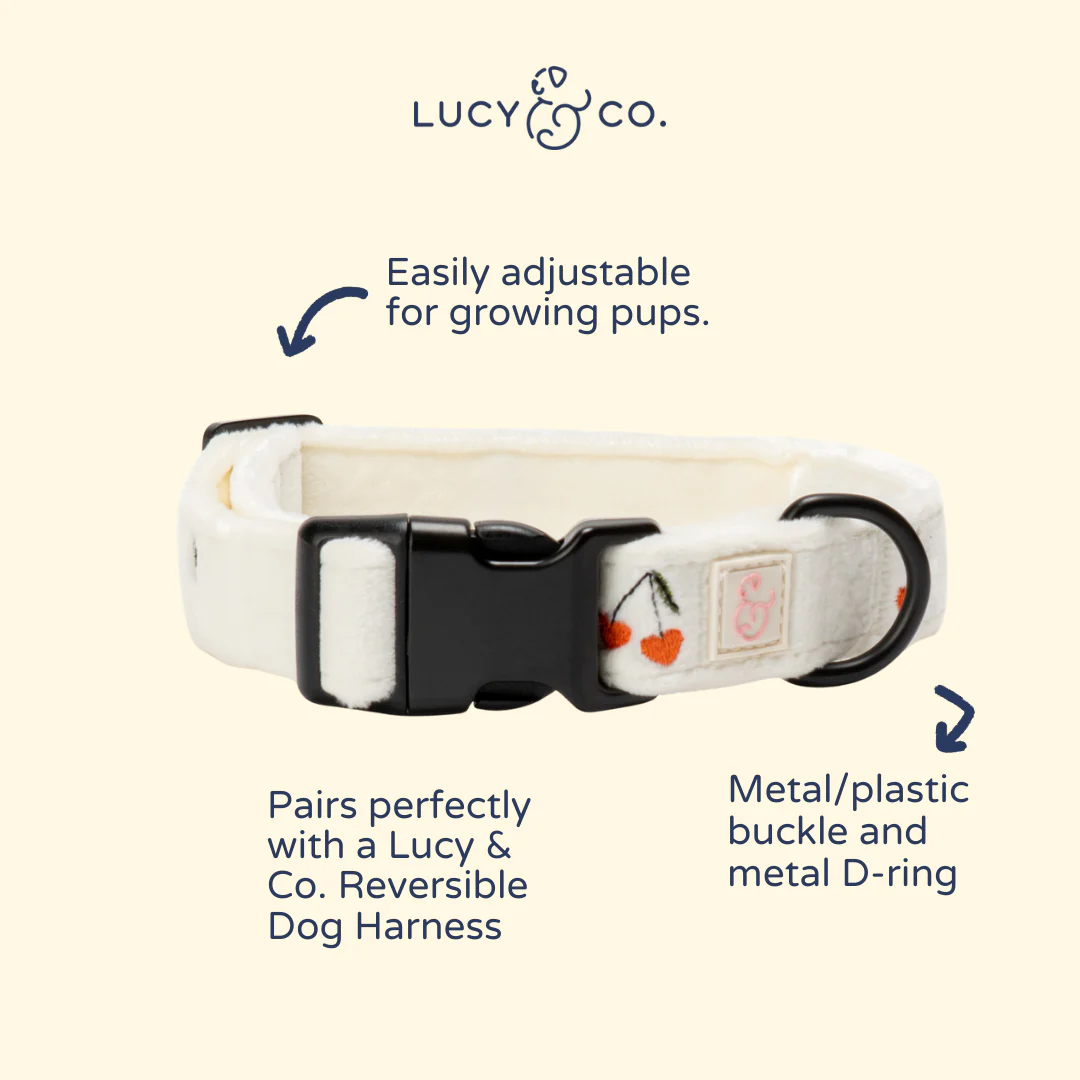 Cherry Cute Collar - Image 4