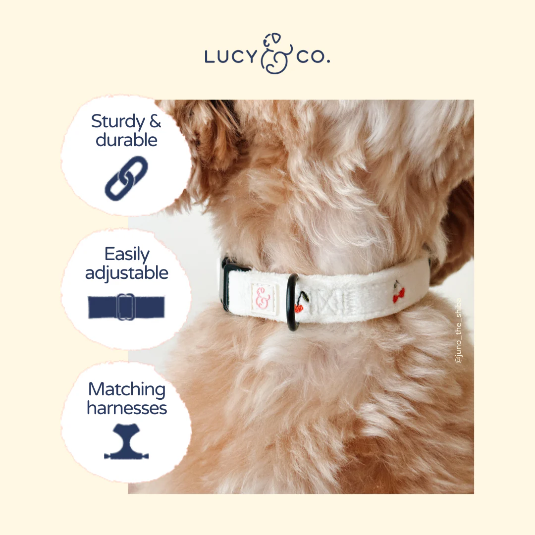 Cherry Cute Collar - Image 5