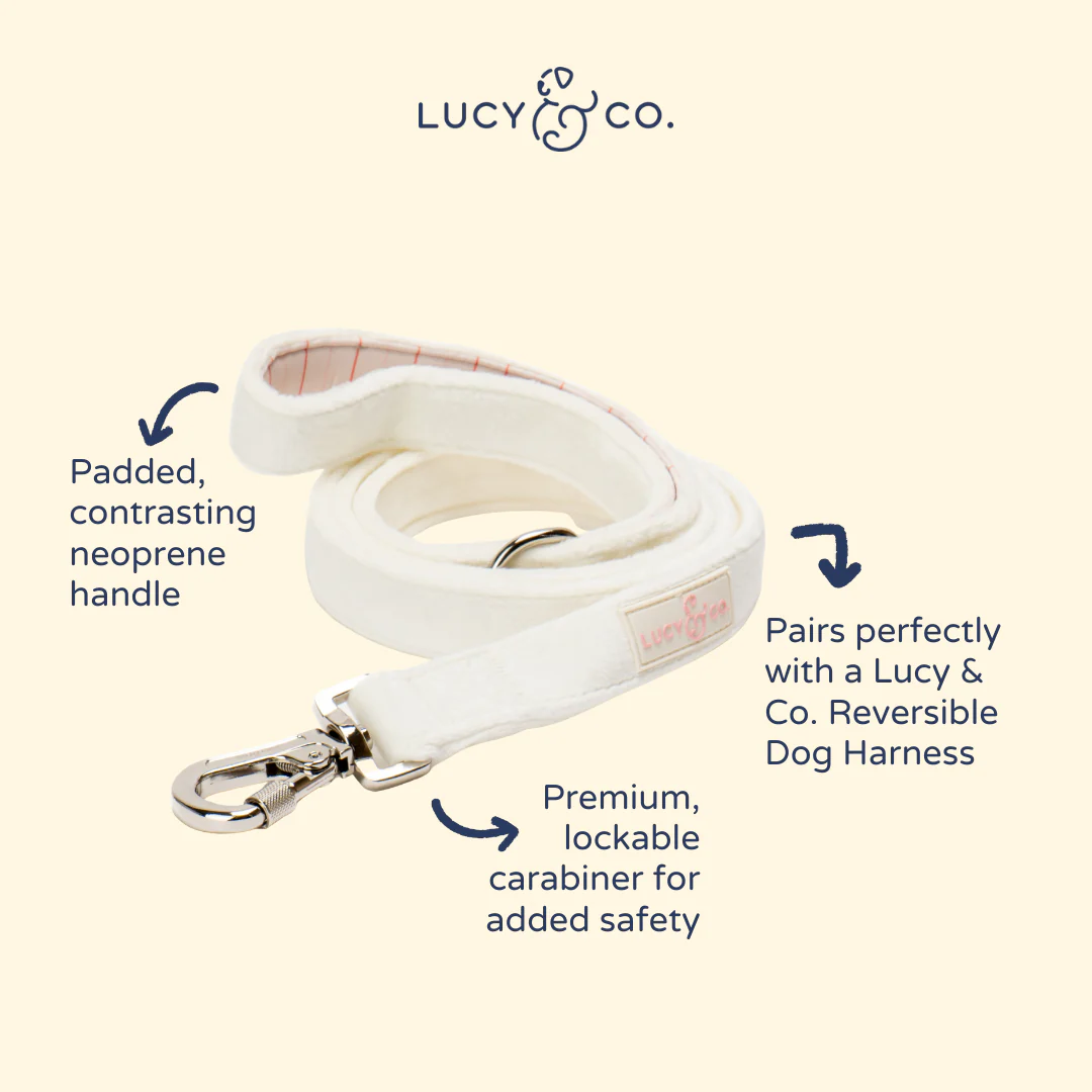 Soft White Velour Leash - Image 5