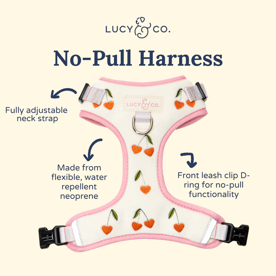 Cherry Cute Velour No-Pull Harness - Image 6