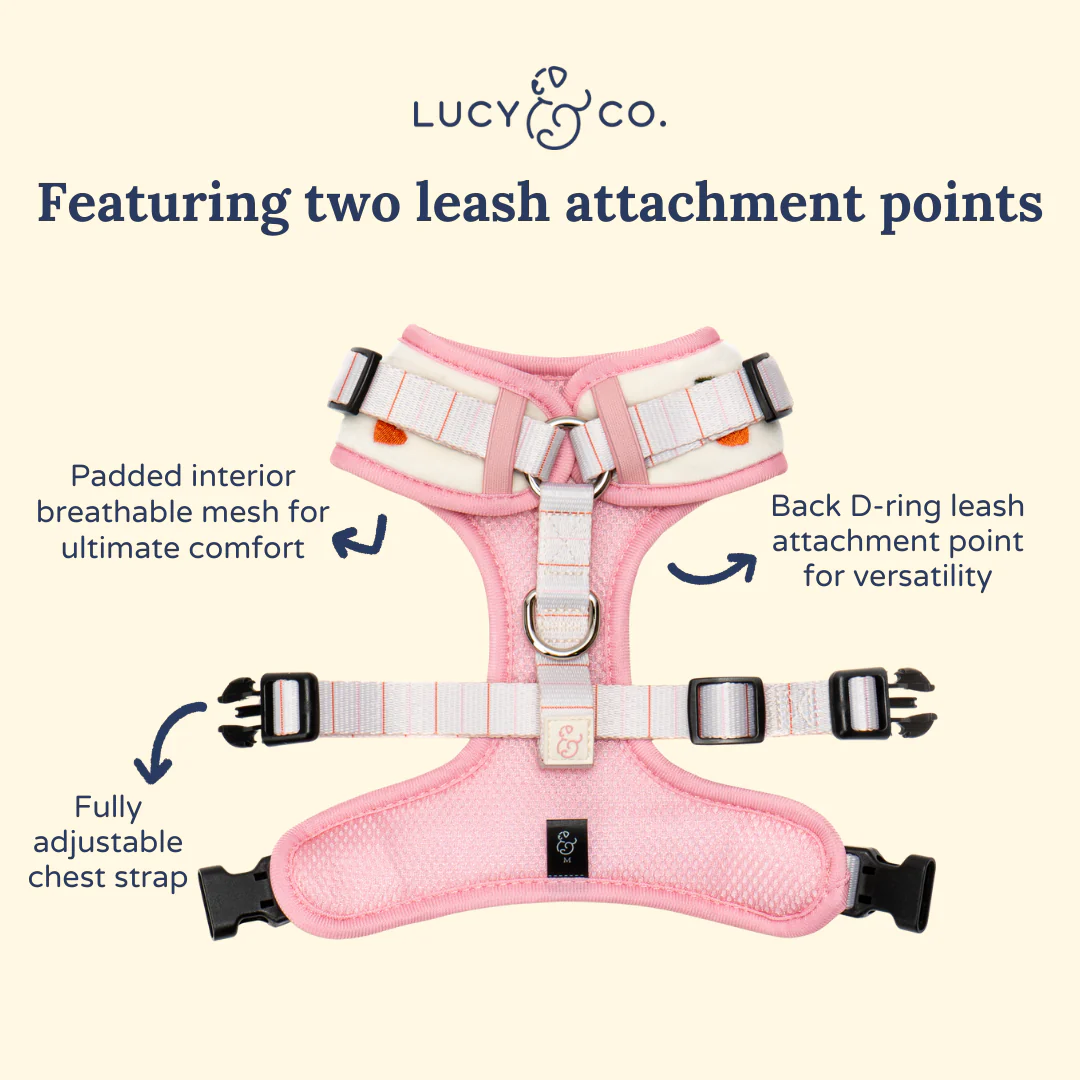 Cherry Cute Velour No-Pull Harness - Image 7