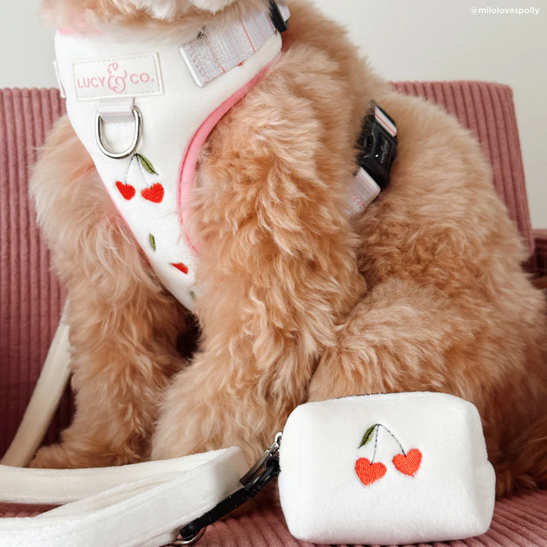 Cherry Cute Velour No-Pull Harness - Image 9