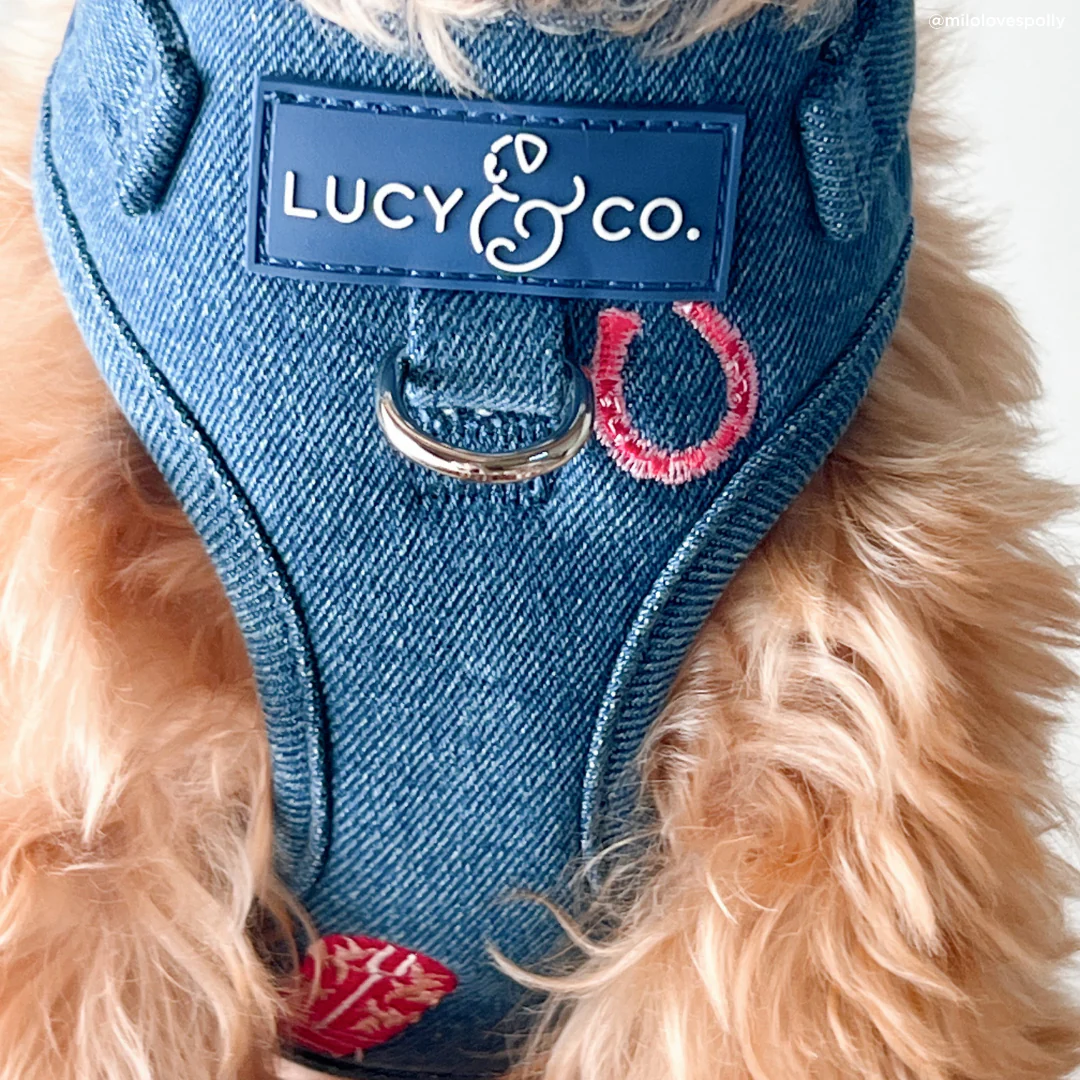 Cute to Boot No-Pull Harness - Image 3