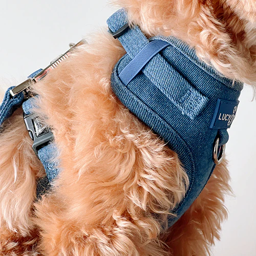 Cute to Boot No-Pull Harness - Image 5