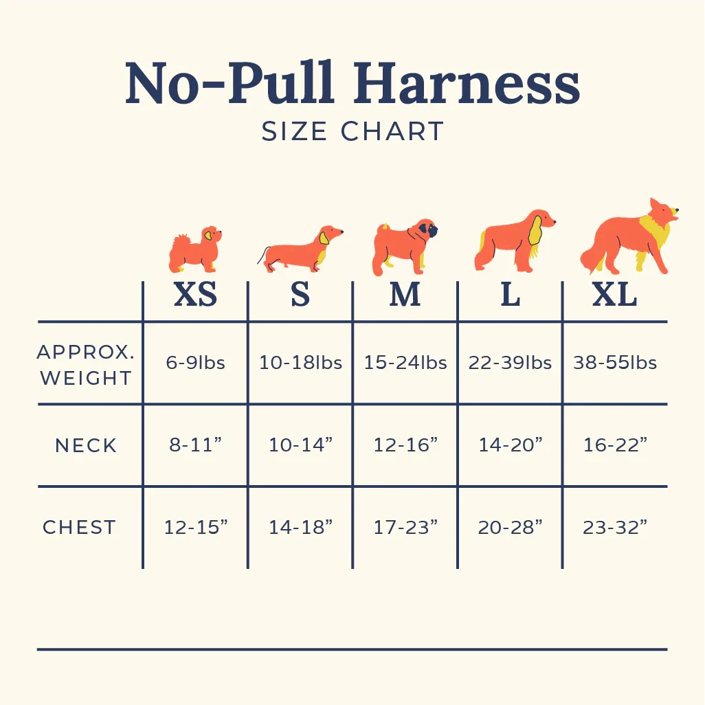 Cute to Boot No-Pull Harness - Image 9