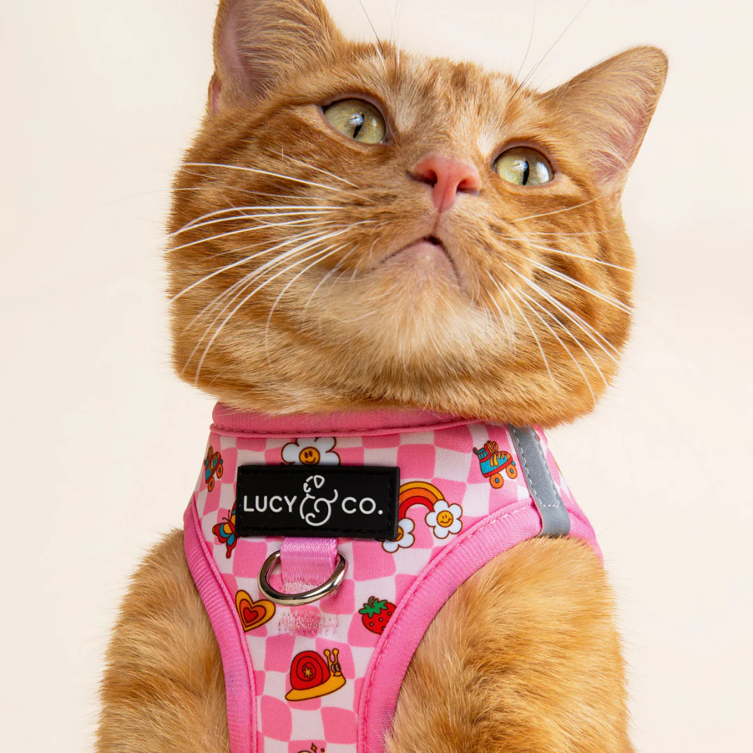 Cutie Patootie Step-in Cat Harness - Image 3
