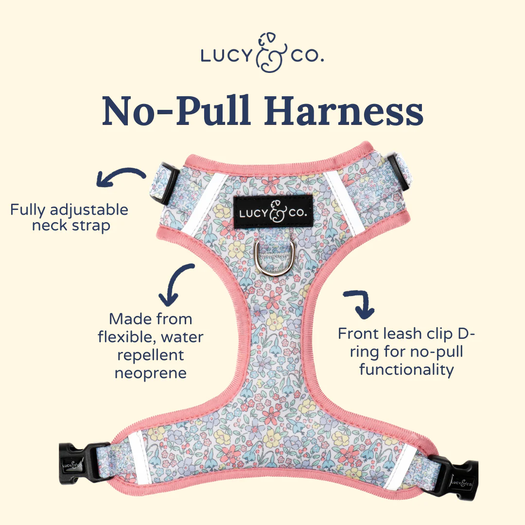 Ditsy Daydream No-Pull Harness - Image 4