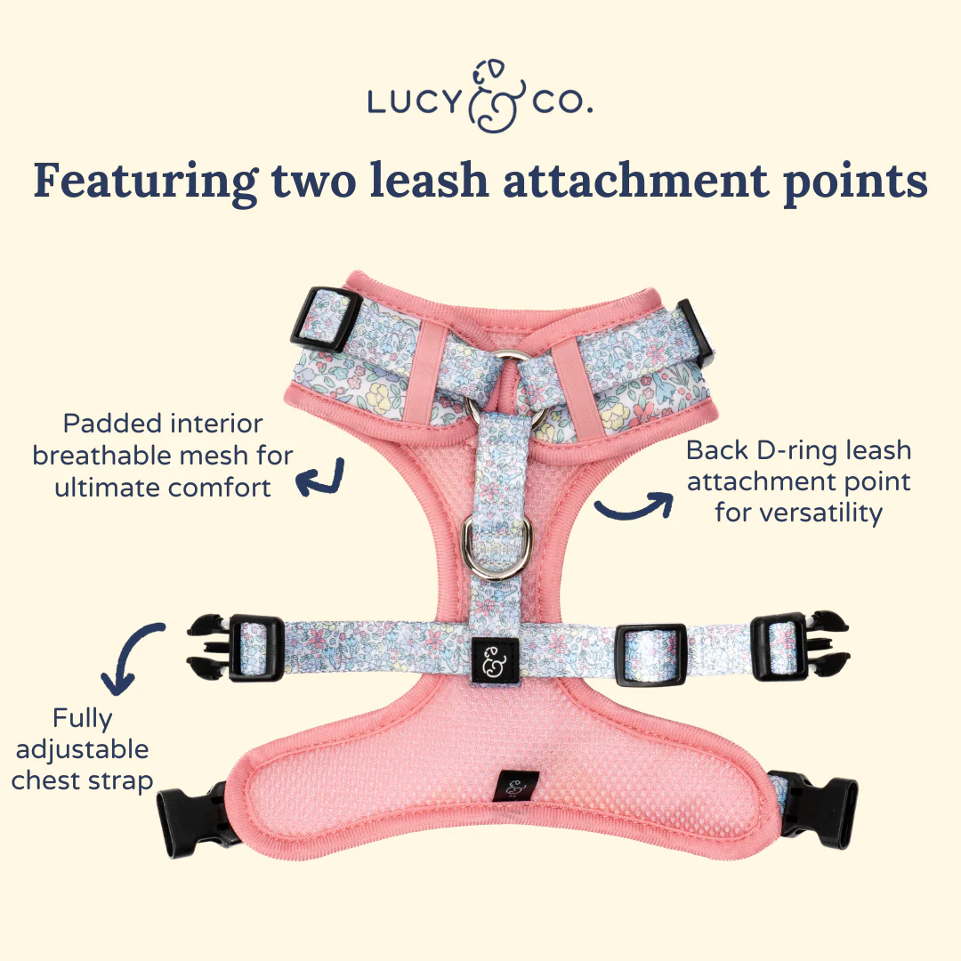 Ditsy Daydream No-Pull Harness - Image 5