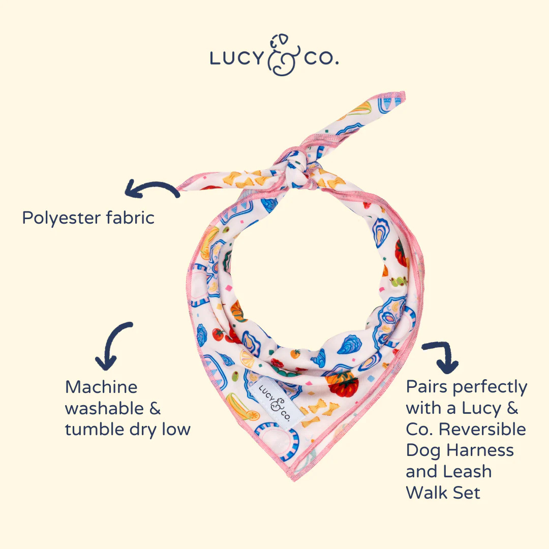 Dolce Vita Bandana - Image 3