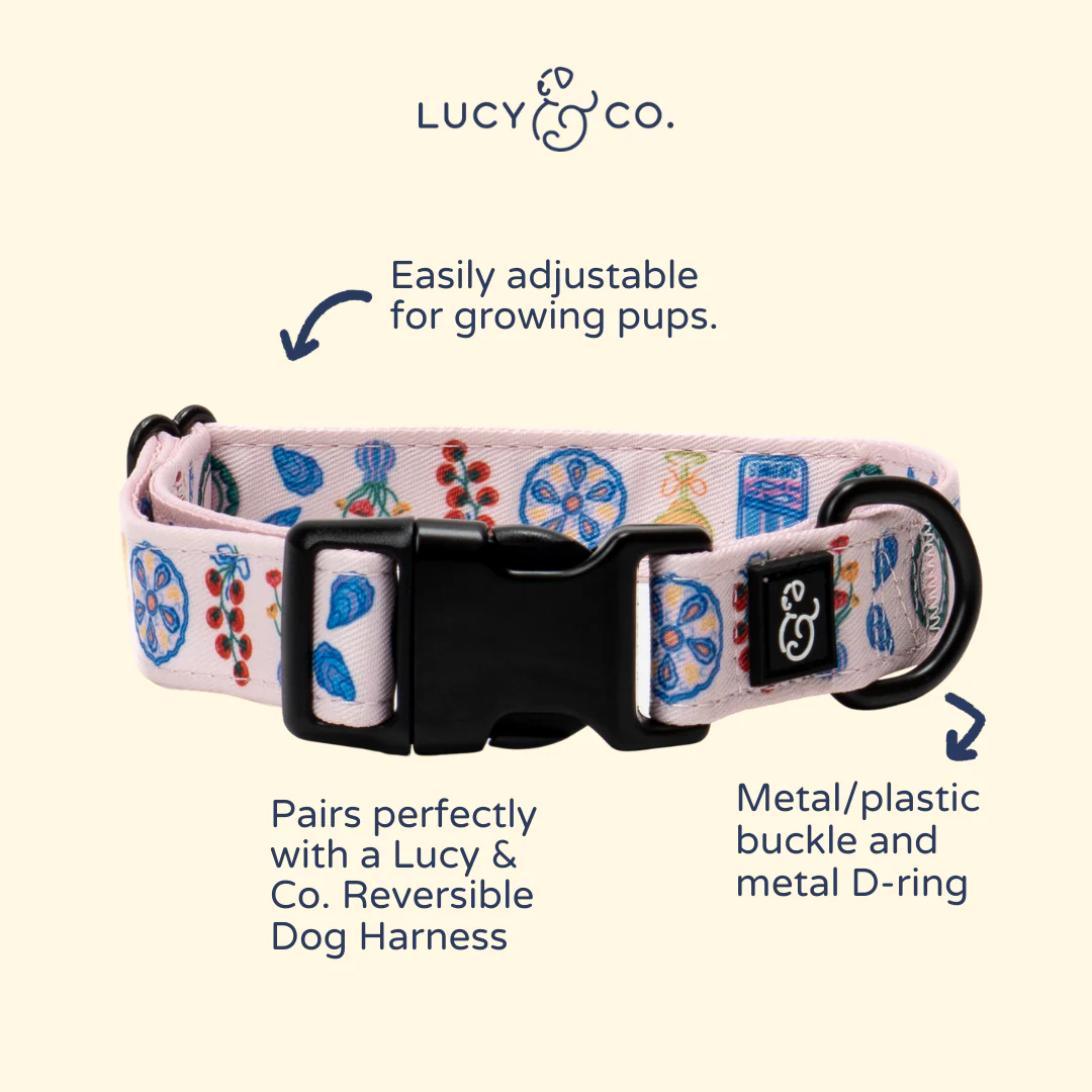 Dolce Vita Collar - Image 4