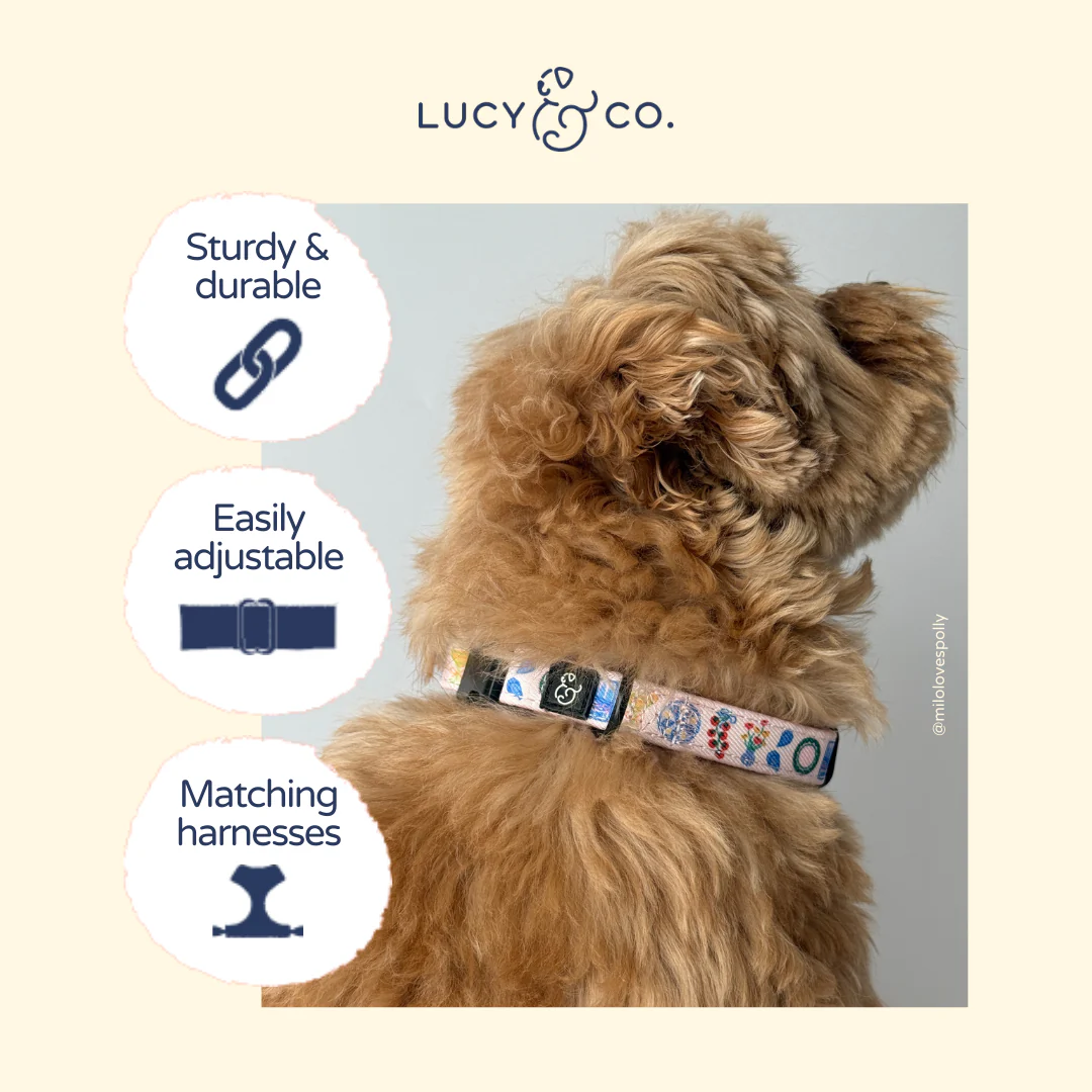 Dolce Vita Collar - Image 5