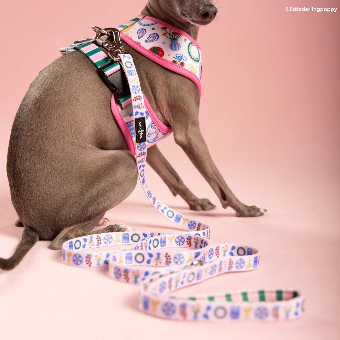 Dolce Vita Leash - Image 3