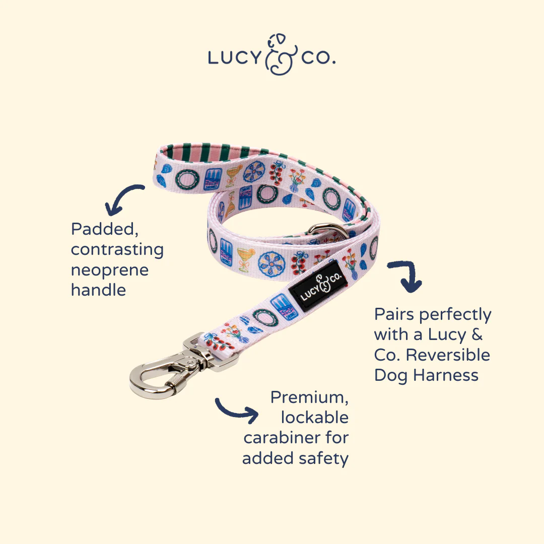 Dolce Vita Leash - Image 4
