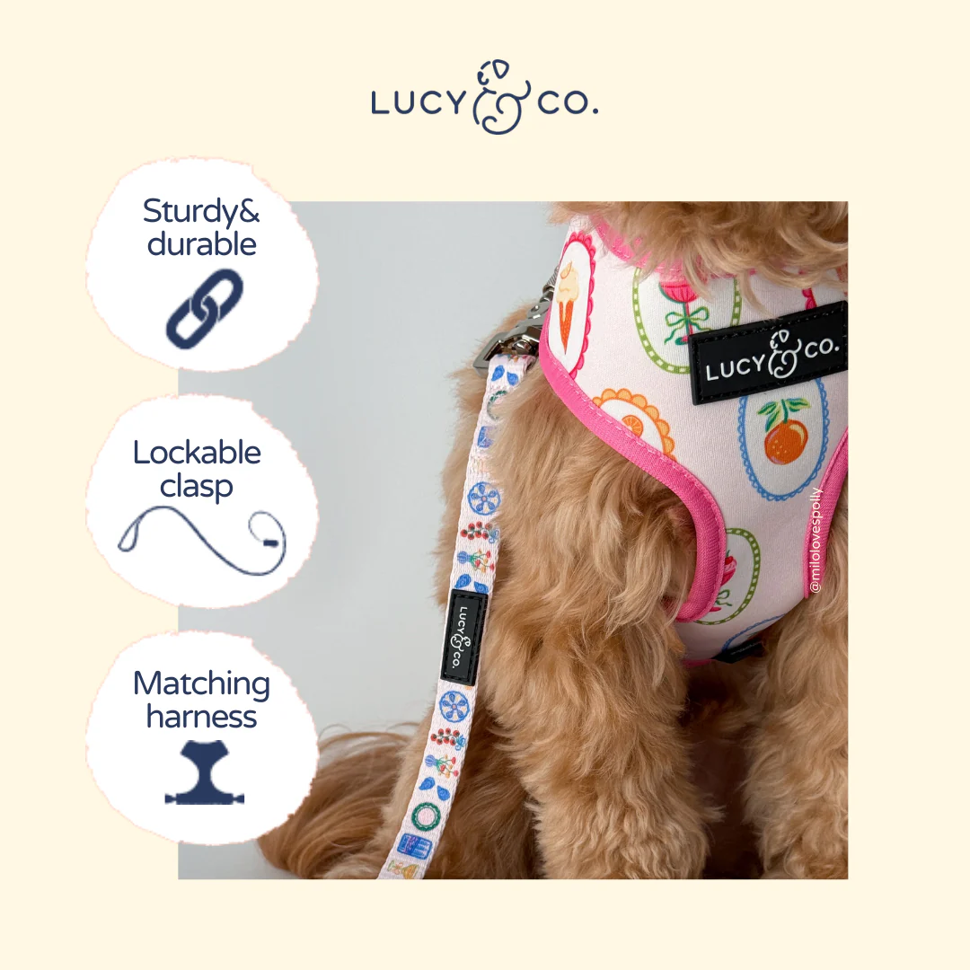 Dolce Vita Leash - Image 5