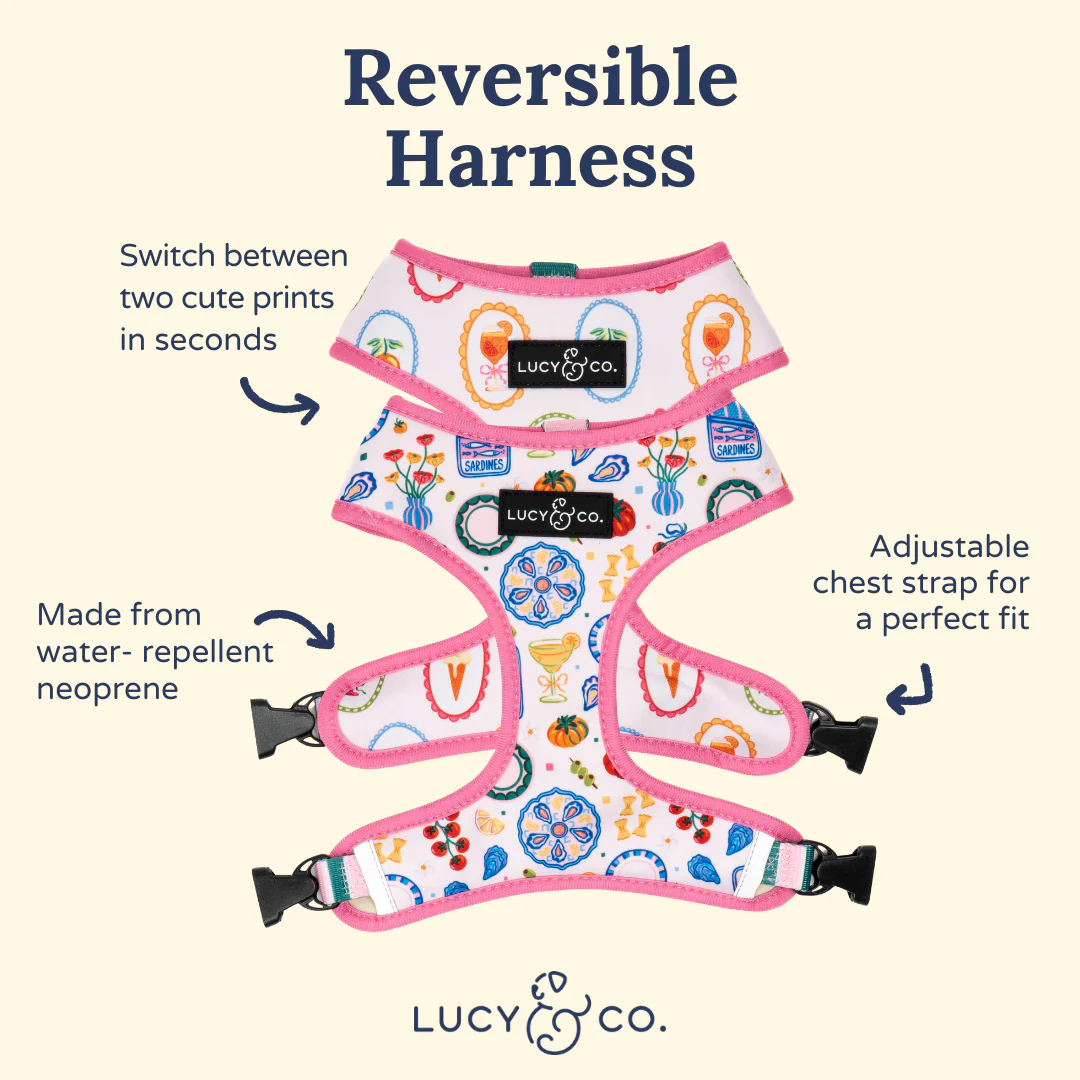 Dolce Vita Reversible Harness - Image 5