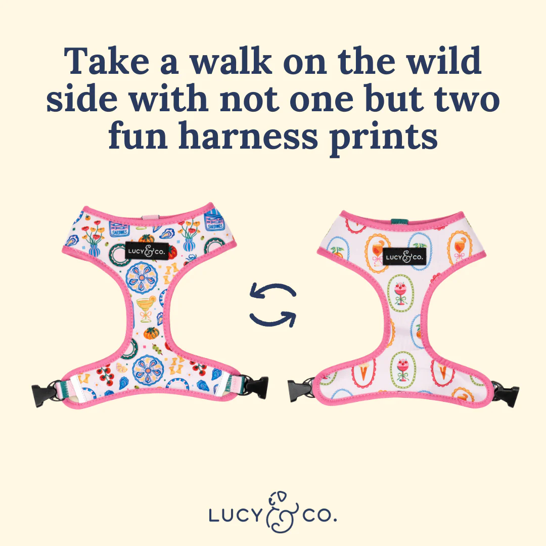 Dolce Vita Reversible Harness - Image 6