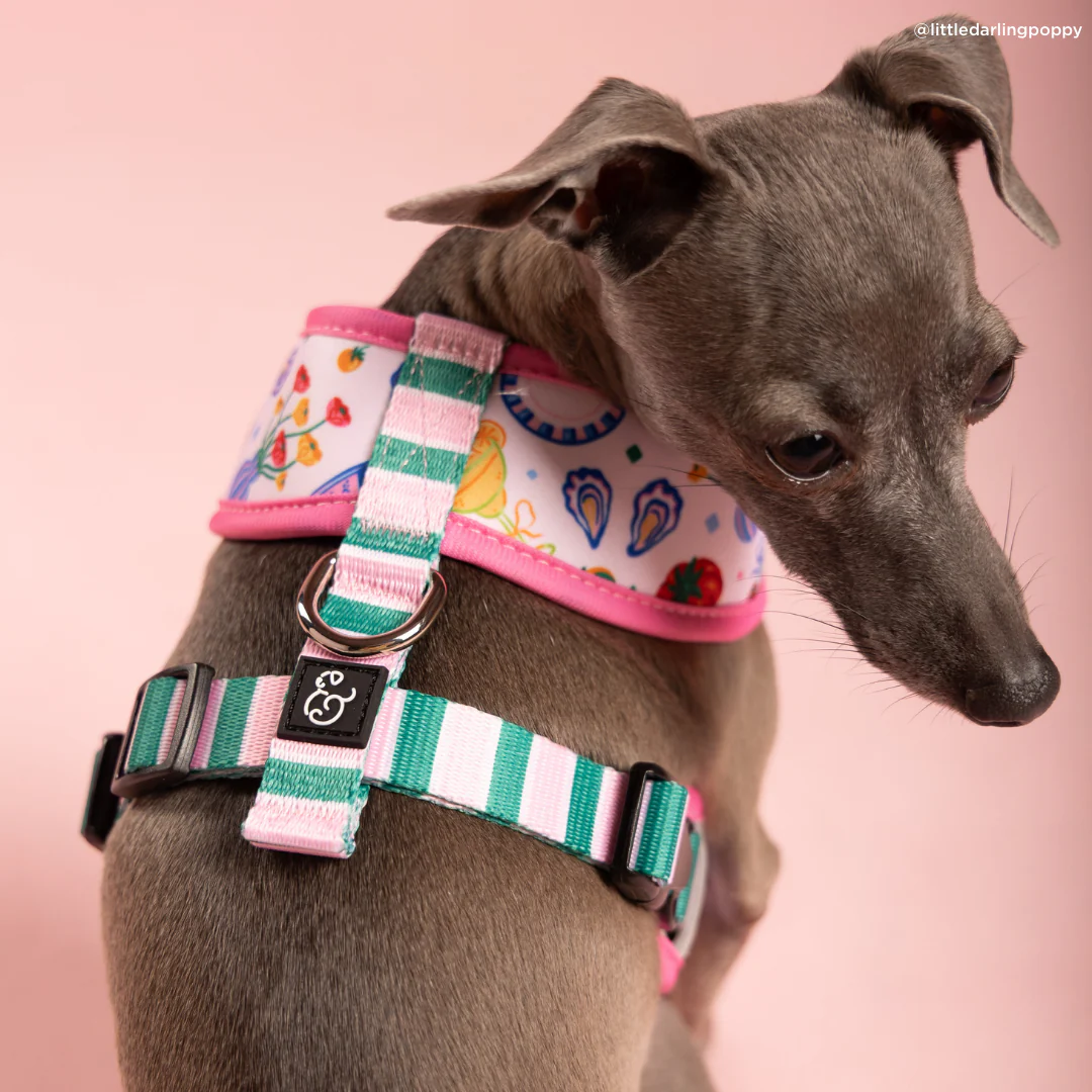 Dolce Vita Reversible Harness - Image 9