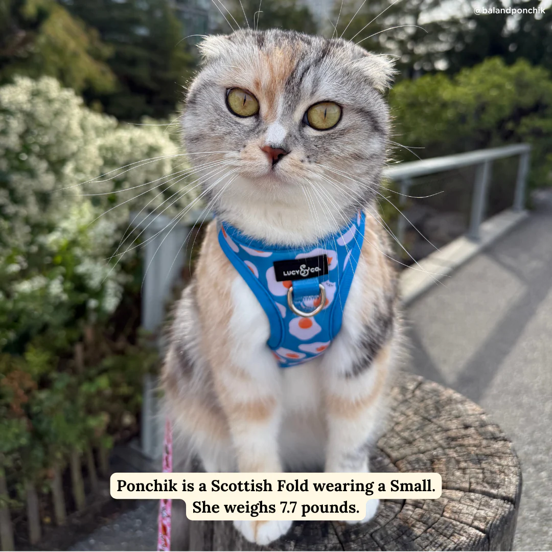 Eggcellent Step-in Cat Harness - Image 3