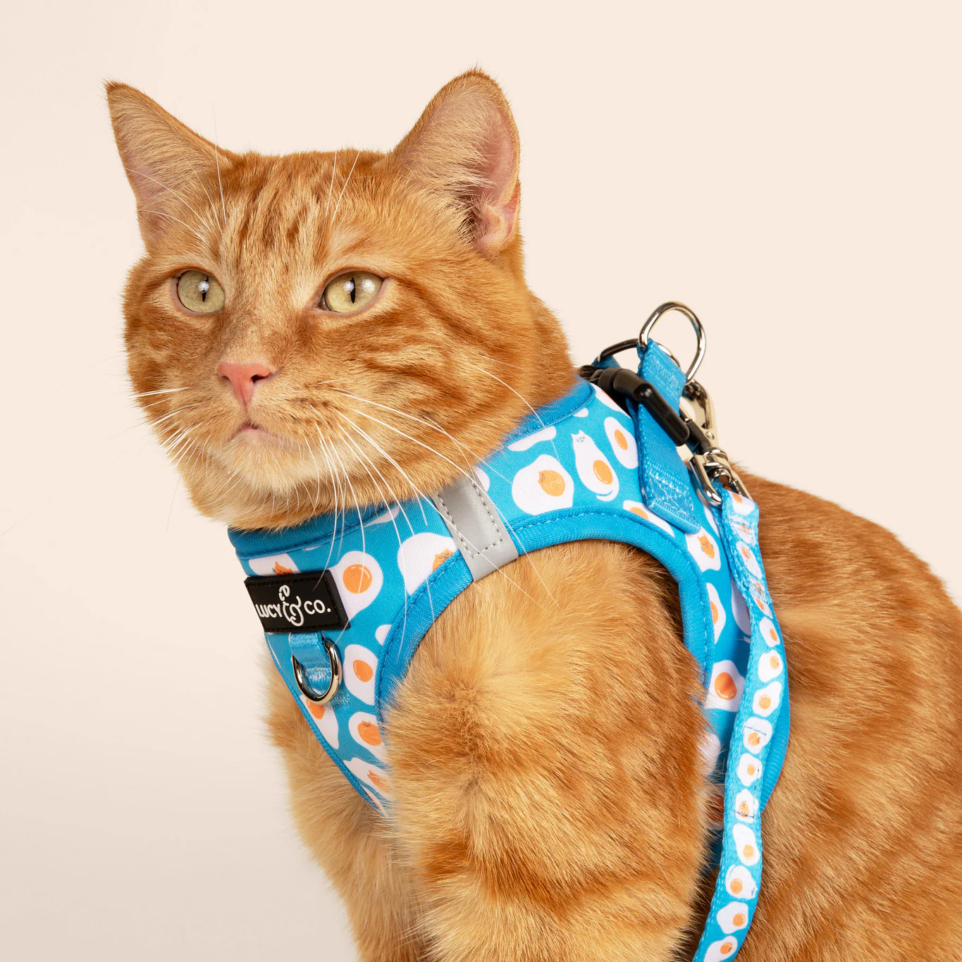 Eggcellent Step-in Cat Harness - Image 4