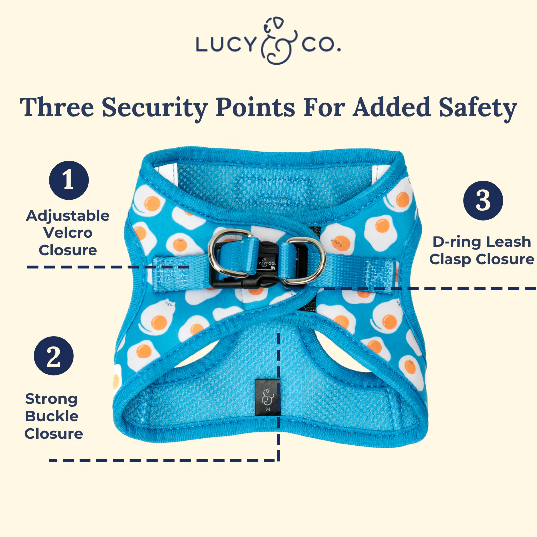 Eggcellent Step-in Cat Harness - Image 6