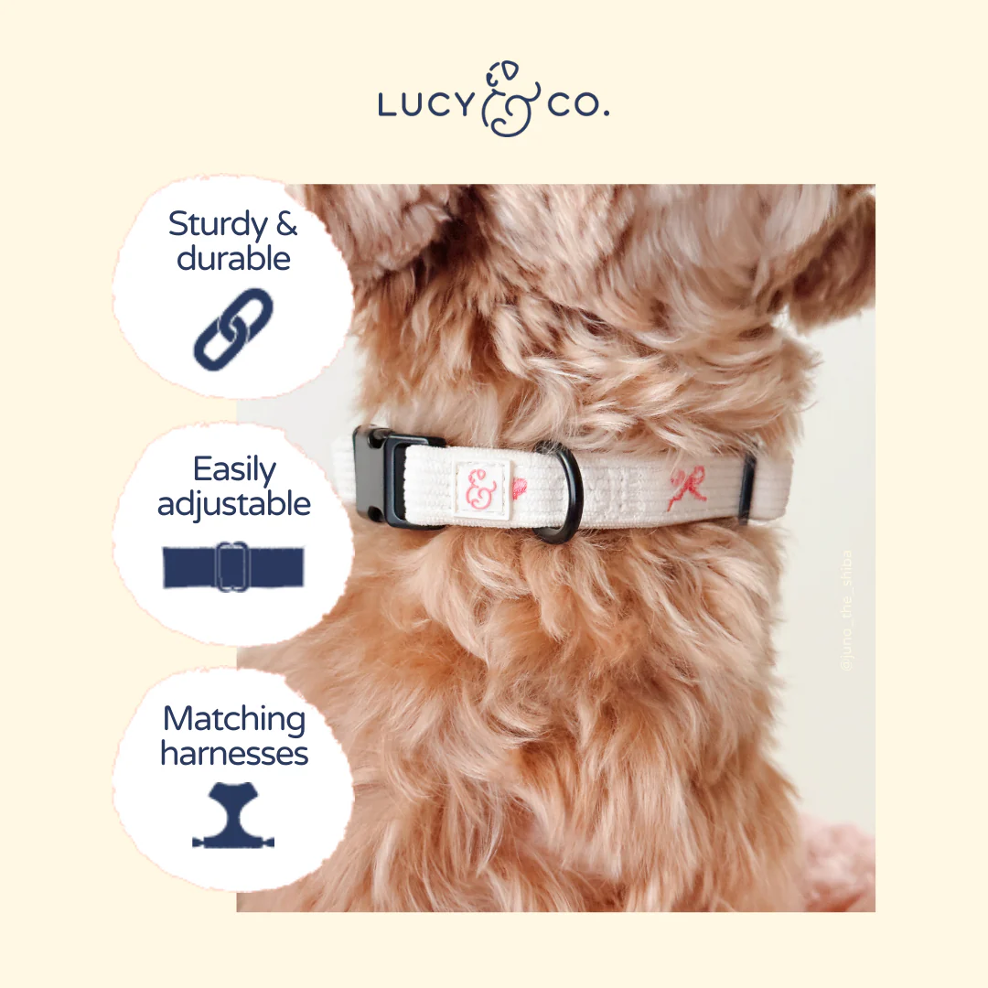 Ever So Sweet Collar - Image 4